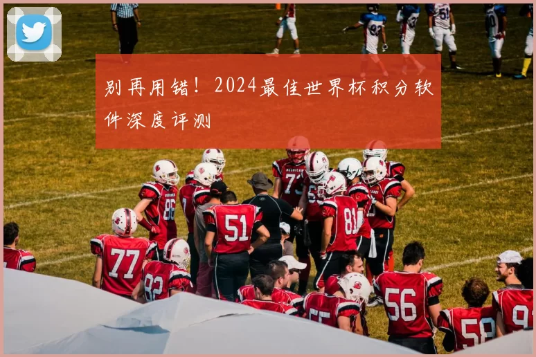 别再用错!2024最佳世界杯积分软件深度评测