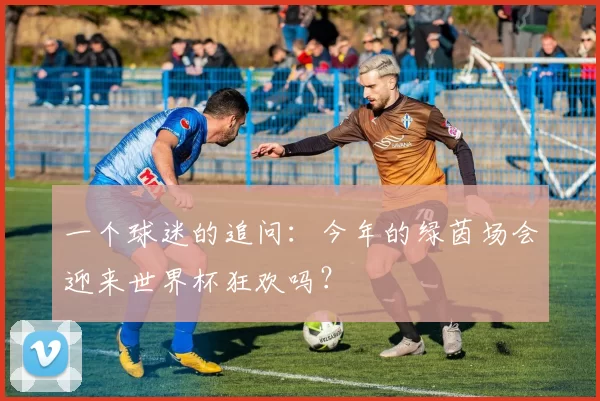 一个球迷的追问：今年的绿茵场会迎来世界杯狂欢吗？