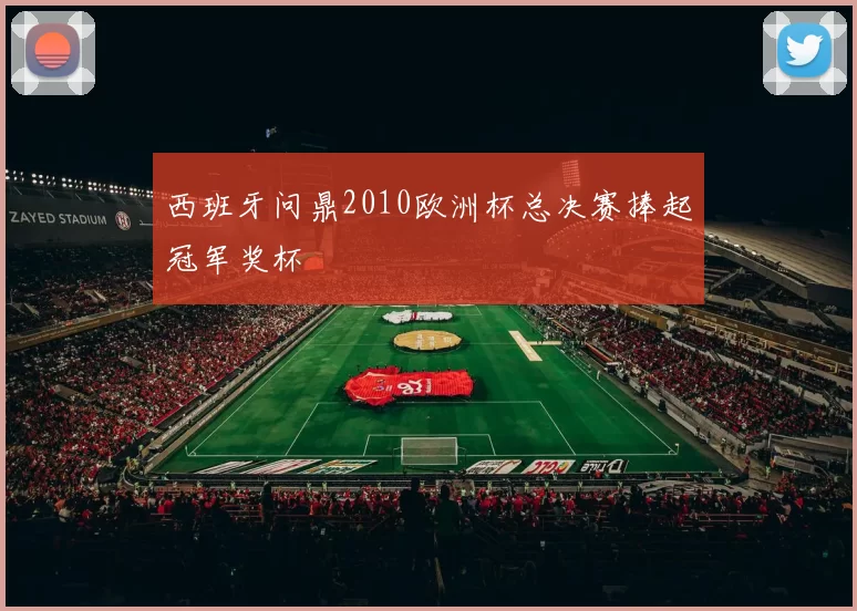 西班牙问鼎2010欧洲杯总决赛捧起冠军奖杯