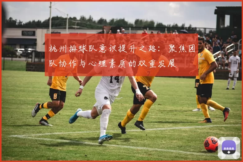 杭州排球队意识提升之路：聚焦团队协作与心理素质的双重发展