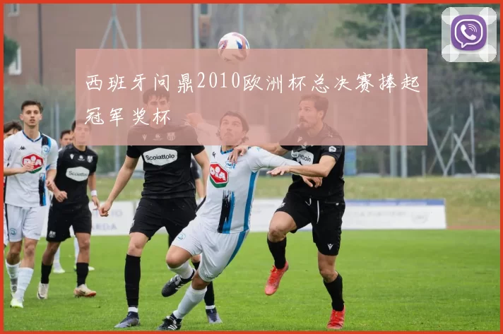 西班牙问鼎2010欧洲杯总决赛捧起冠军奖杯
