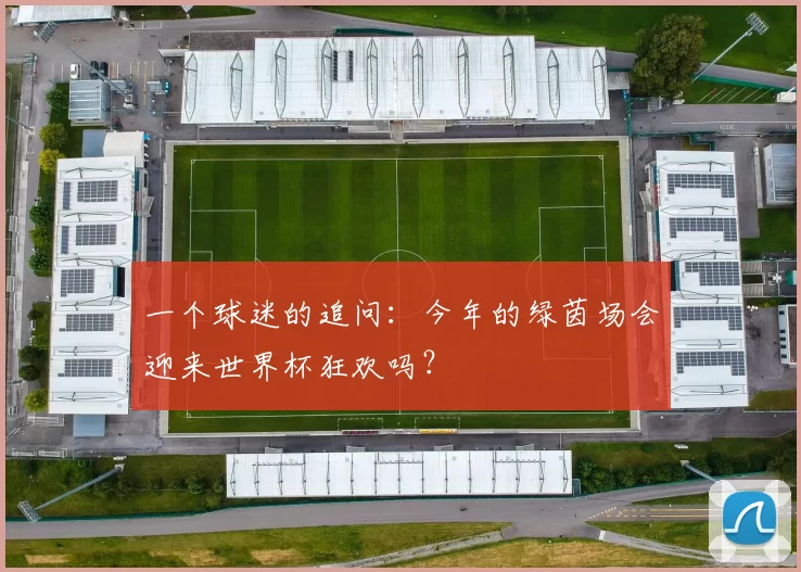 一个球迷的追问:今年的绿茵场会迎来世界杯狂欢吗?